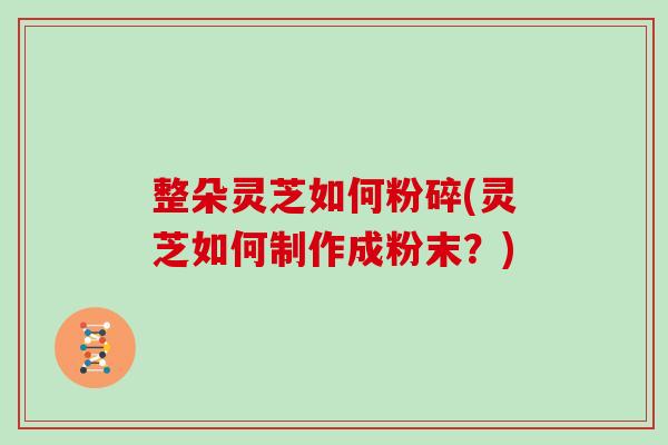 整朵灵芝如何粉碎(灵芝如何制作成粉末？)-第1张图片-灵芝大师