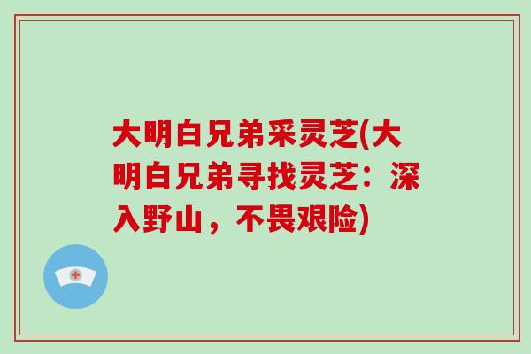 大明白兄弟采灵芝(大明白兄弟寻找灵芝：深入野山，不畏艰险)
