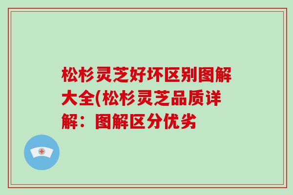 松杉灵芝好坏区别图解大全(松杉灵芝品质详解:图解区分优劣-第1张图片-灵芝大师 松杉灵芝好坏区别图解大全(松杉灵芝品质详解:图解区分优劣-第1张图片-灵芝大师