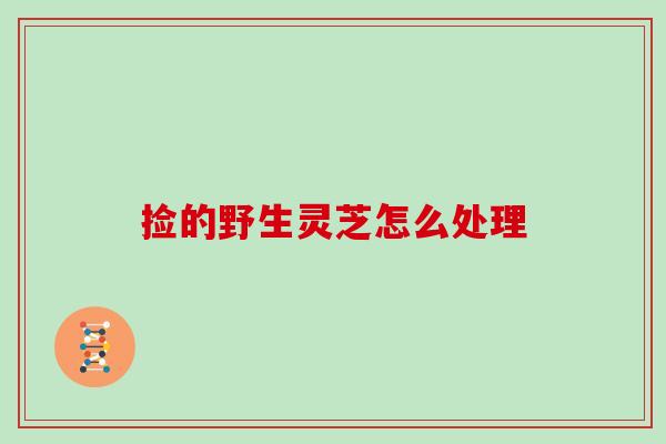 捡的野生灵芝怎么处理