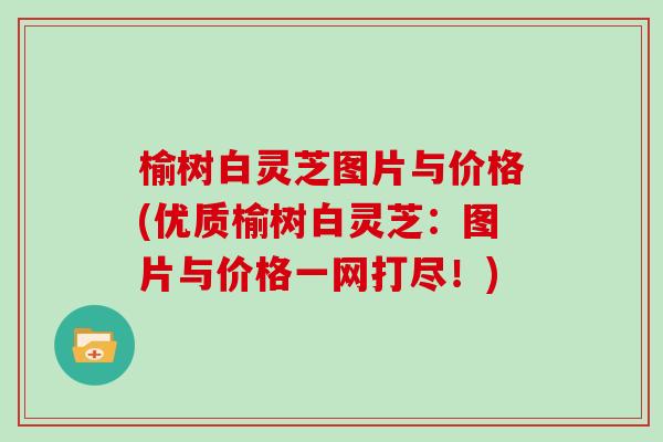 榆树白灵芝图片与价格(优质榆树白灵芝：图片与价格一网打尽！)