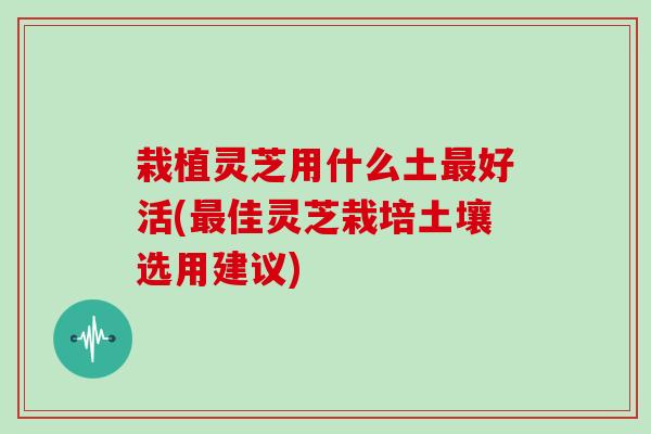 栽植灵芝用什么土最好活(最佳灵芝栽培土壤选用建议)
