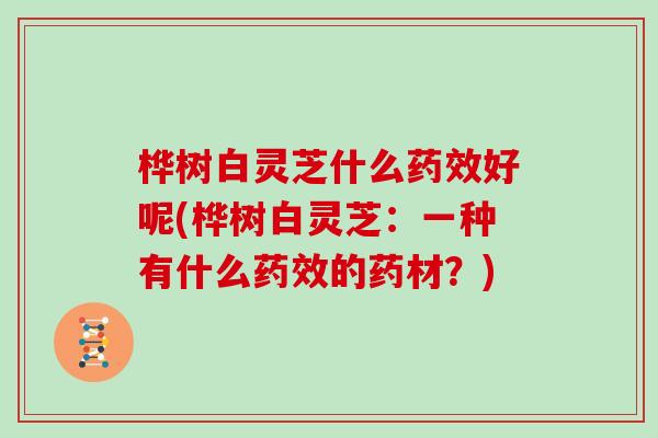 桦树白灵芝什么药效好呢(桦树白灵芝:一种有什么药效的药材?)-第1张图片-灵芝大师 桦树白灵芝什么药效好呢(桦树白灵芝:一种有什么药效的药材?)-第1张图片-灵芝大师