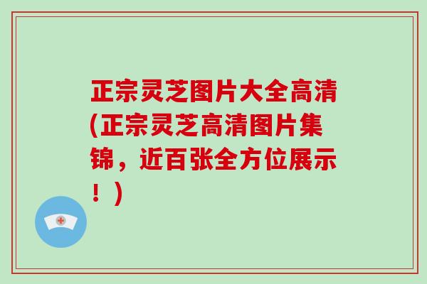 正宗灵芝图片大全高清(正宗灵芝高清图片集锦，近百张全方位展示！)