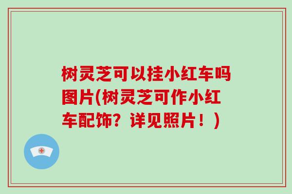 树灵芝可以挂小红车吗图片(树灵芝可作小红车配饰？详见照片！)