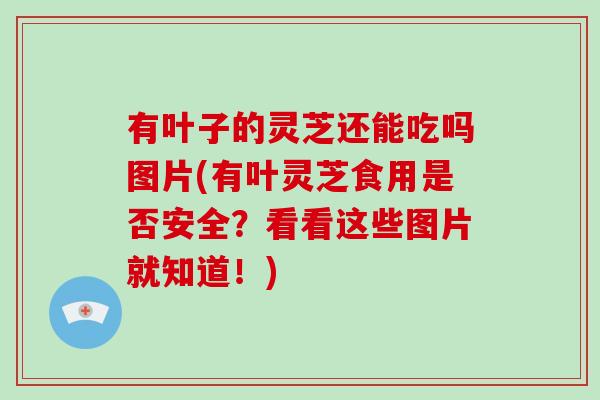 有叶子的灵芝还能吃吗图片(有叶灵芝食用是否安全？看看这些图片就知道！)