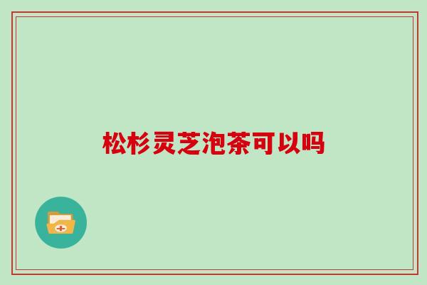 松杉灵芝泡茶可以吗