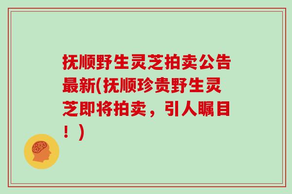 抚顺野生灵芝拍卖公告最新(抚顺珍贵野生灵芝即将拍卖，引人瞩目！)