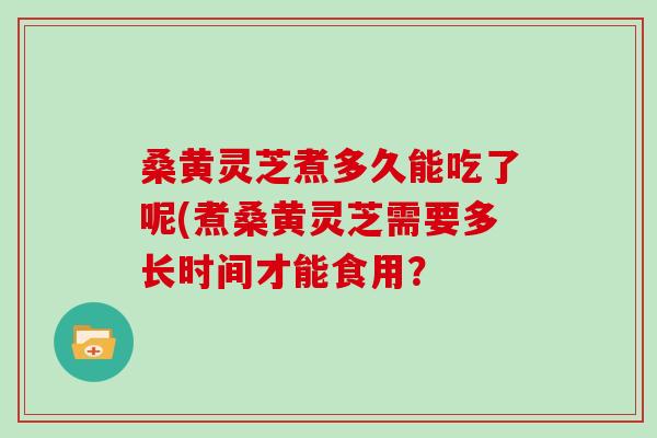 桑黄灵芝煮多久能吃了呢(煮桑黄灵芝需要多长时间才能食用？