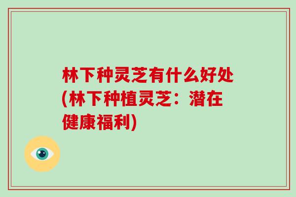 林下种灵芝有什么好处(林下种植灵芝：潜在健康福利)