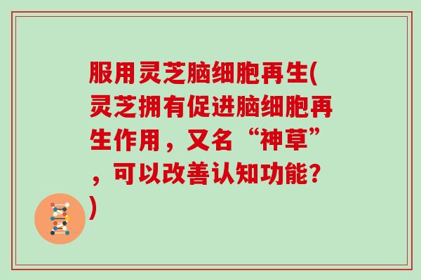 服用灵芝脑细胞再生(灵芝拥有促进脑细胞再生作用，又名“神草”，可以改善认知功能？)