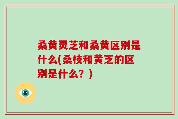 桑黄灵芝和桑黄区别是什么(桑枝和黄芝的区别是什么？)