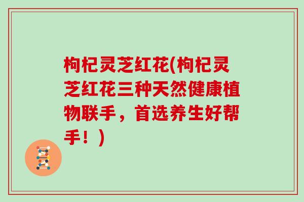 枸杞灵芝红花(枸杞灵芝红花三种天然健康植物联手，首选养生好帮手！)