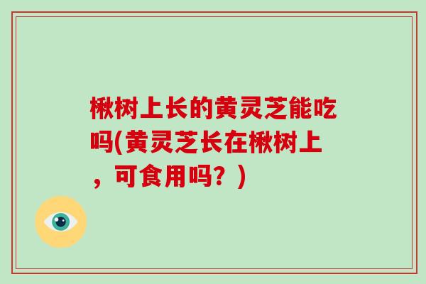 楸树上长的黄灵芝能吃吗(黄灵芝长在楸树上，可食用吗？)