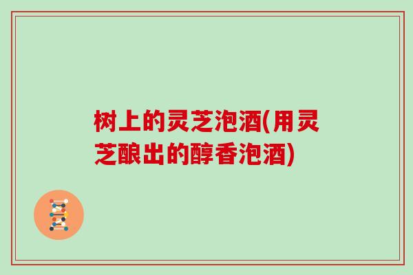 树上的灵芝泡酒(用灵芝酿出的醇香泡酒)-第1张图片-灵芝大师 树上的灵芝泡酒(用灵芝酿出的醇香泡酒)-第1张图片-灵芝大师