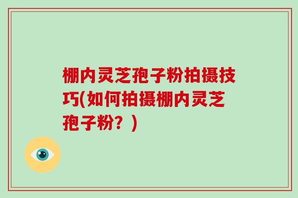 棚内灵芝孢子粉拍摄技巧(如何拍摄棚内灵芝孢子粉？)