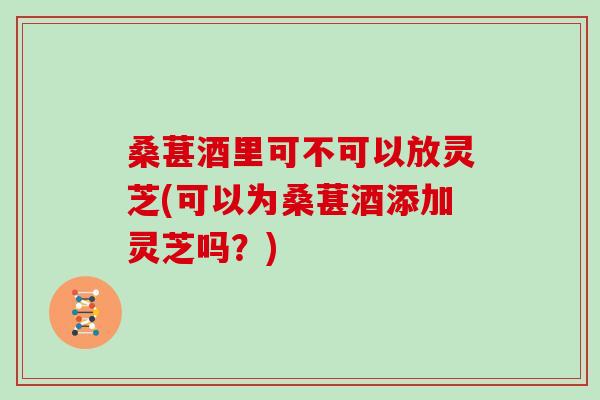 桑葚酒里可不可以放灵芝(可以为桑葚酒添加灵芝吗？)