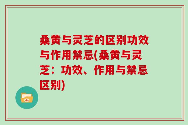 桑黄与灵芝的区别功效与作用禁忌(桑黄与灵芝：功效、作用与禁忌区别)
