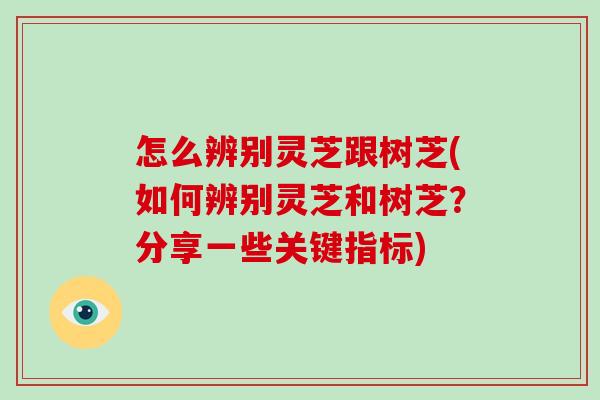 怎么辨别灵芝跟树芝(如何辨别灵芝和树芝？分享一些关键指标)