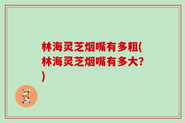 林海灵芝烟嘴有多粗(林海灵芝烟嘴有多大？)
