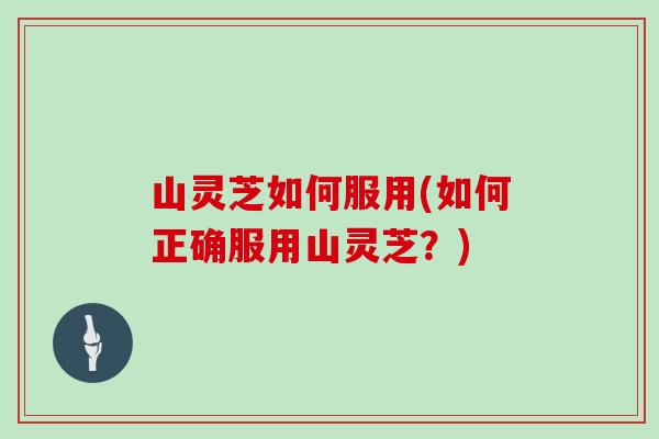 山灵芝如何服用(如何正确服用山灵芝？)