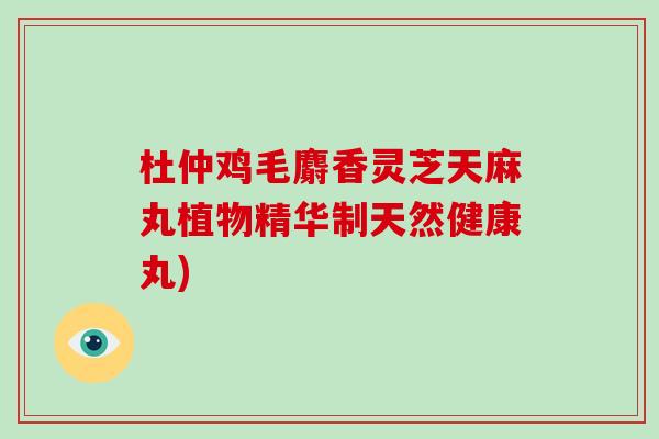 杜仲鸡毛麝香灵芝天麻丸植物精华制天然健康丸)