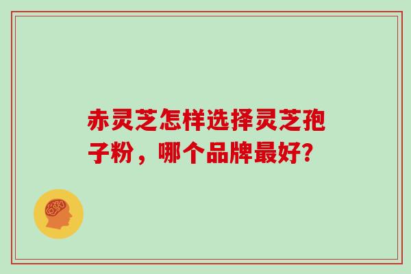 赤灵芝怎样选择灵芝孢子粉，哪个品牌最好？