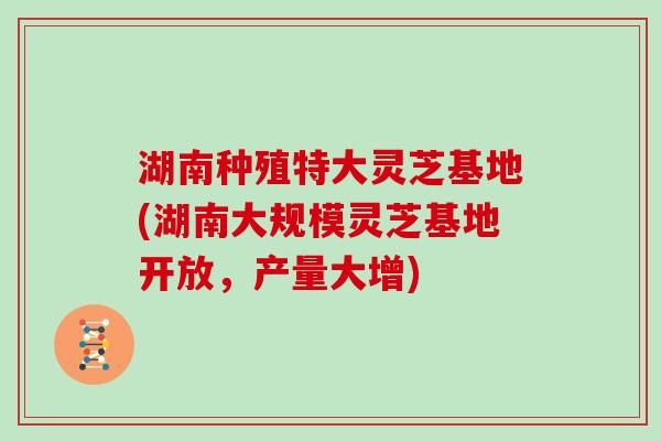 湖南种殖特大灵芝基地(湖南大规模灵芝基地开放，产量大增)