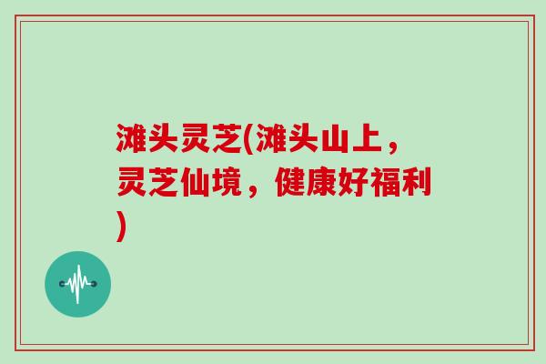 滩头灵芝(滩头山上，灵芝仙境，健康好福利)