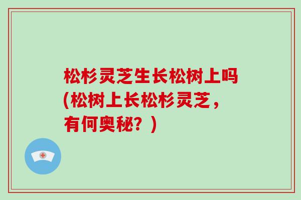 松杉灵芝生长松树上吗(松树上长松杉灵芝,有何奥秘?)-第1张图片-灵芝大师 松杉灵芝生长松树上吗(松树上长松杉灵芝,有何奥秘?)-第1张图片-灵芝大师