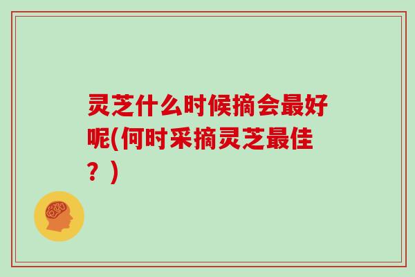 灵芝什么时候摘会最好呢(何时采摘灵芝最佳？)