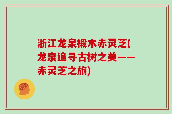 浙江龙泉椴木赤灵芝(龙泉追寻古树之美——赤灵芝之旅)