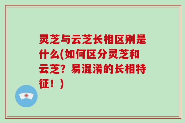 灵芝与云芝长相区别是什么(如何区分灵芝和云芝？易混淆的长相特征！)-第1张图片-灵芝大师
