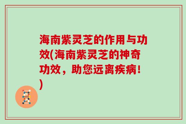 海南紫灵芝的作用与功效(海南紫灵芝的神奇功效，助您远离疾病！)