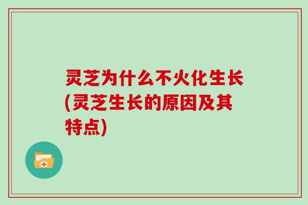 灵芝为什么不火化生长(灵芝生长的原因及其特点)