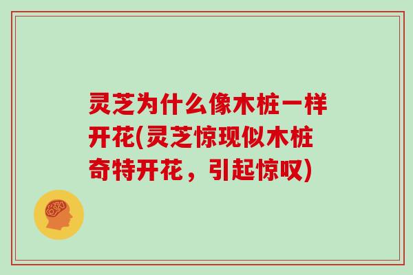灵芝为什么像木桩一样开花(灵芝惊现似木桩奇特开花，引起惊叹)