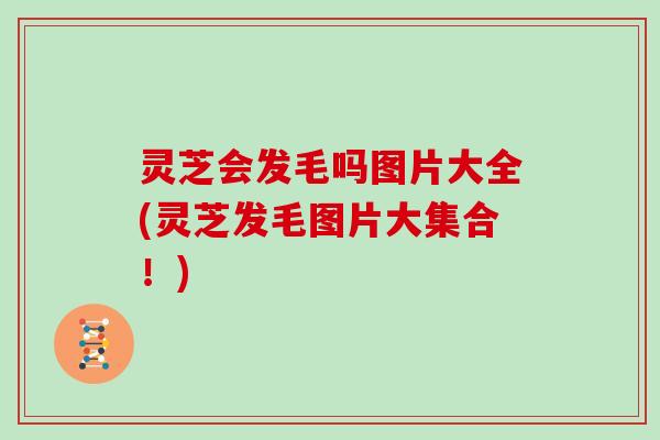 灵芝会发毛吗图片大全(灵芝发毛图片大集合！)