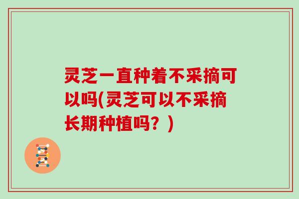 灵芝一直种着不采摘可以吗(灵芝可以不采摘长期种植吗？)