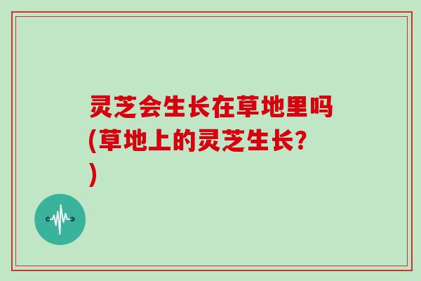灵芝会生长在草地里吗(草地上的灵芝生长？)
