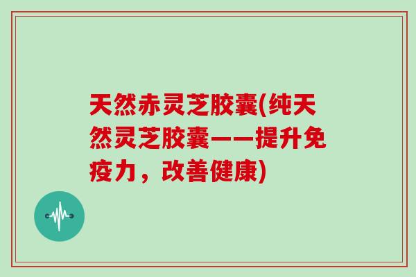 天然赤灵芝胶囊(纯天然灵芝胶囊——提升免疫力，改善健康)