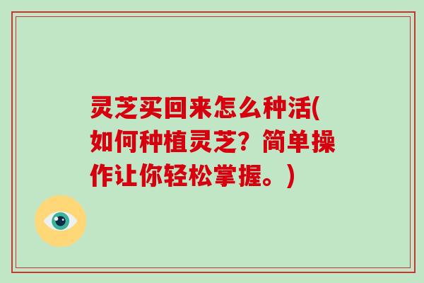 灵芝买回来怎么种活(如何种植灵芝？简单操作让你轻松掌握。)