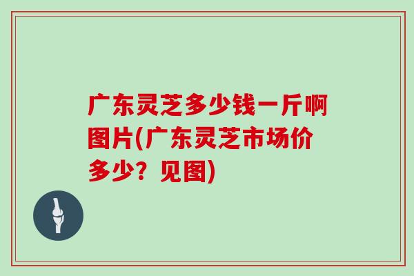 广东灵芝多少钱一斤啊图片(广东灵芝市场价多少？见图)