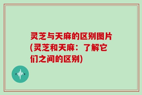 灵芝与天麻的区别图片(灵芝和天麻：了解它们之间的区别)