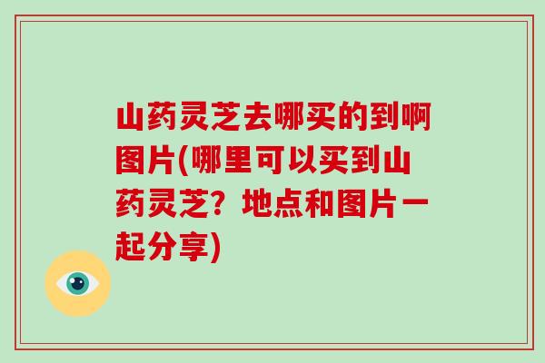 山药灵芝去哪买的到啊图片(哪里可以买到山药灵芝？地点和图片一起分享)