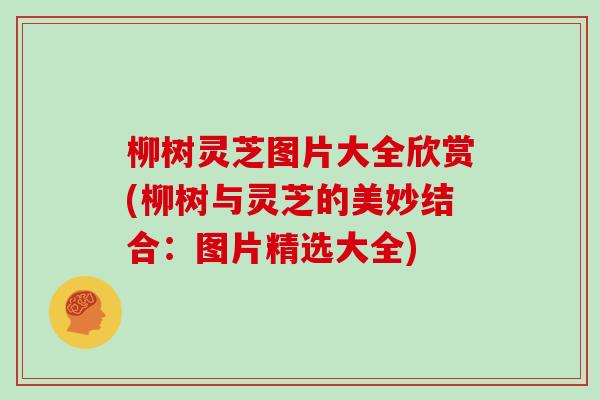 柳树灵芝图片大全欣赏(柳树与灵芝的美妙结合：图片精选大全)