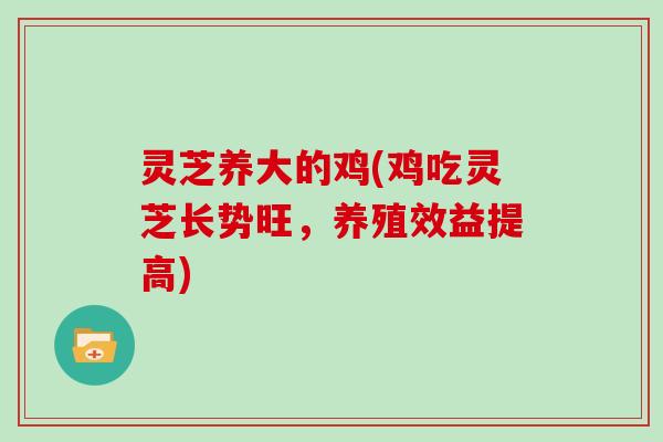 灵芝养大的鸡(鸡吃灵芝长势旺,养殖效益提高)-第1张图片-灵芝大师 灵芝养大的鸡(鸡吃灵芝长势旺,养殖效益提高)-第1张图片-灵芝大师