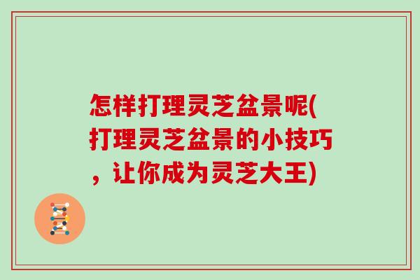 怎样打理灵芝盆景呢(打理灵芝盆景的小技巧，让你成为灵芝大王)