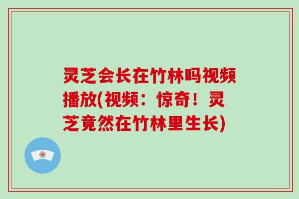 灵芝会长在竹林吗视频播放(视频：惊奇！灵芝竟然在竹林里生长)