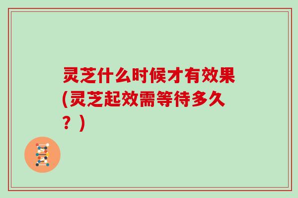 灵芝什么时候才有效果(灵芝起效需等待多久？)