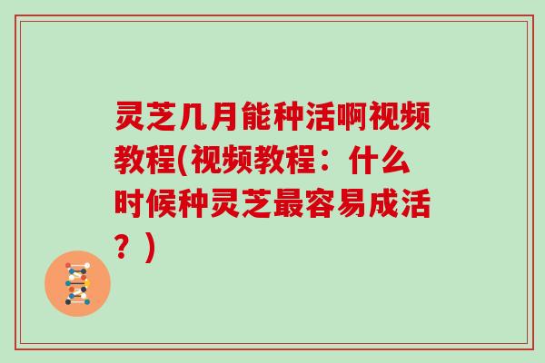 灵芝几月能种活啊视频教程(视频教程:什么时候种灵芝最容易成活?)-第1张图片-灵芝大师 灵芝几月能种活啊视频教程(视频教程:什么时候种灵芝最容易成活?)-第1张图片-灵芝大师
